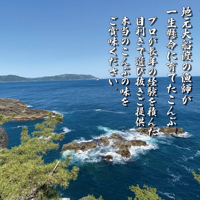 y茧Dnsz݂ ʂz 200g×3 (600g)  [honda010]