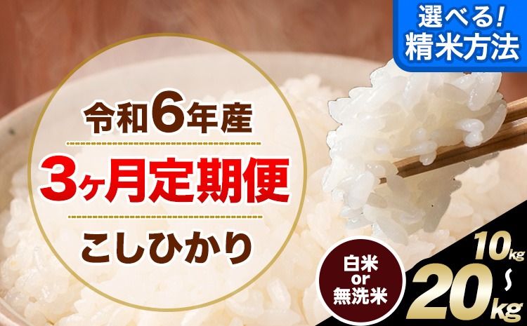 [3ヶ月定期便]令和6年産 無洗米 も 選べる 定期便 こしひかり 白米 or 無洗米 選べる精米方法 定期便 内容量 5kg 10kg 12kg 15kg 18kg 20kg 白米 精米 無洗米 熊本県産(南阿蘇村産含む) 単一原料米 南阿蘇村[申込み翌月から発送]---kh6tei_58500_10kg_mo3_mna_h---