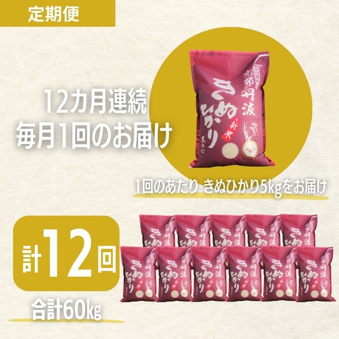 【12カ月定期便】令和7年産 京都丹波産 きぬひかり 5kg 合計60kg 白米 精米 お米 こめ コメ キヌヒカリ 精米したて 特A 特A米 令和7年 ご飯 ごはん 12回 1年 お楽しみ 京都 京都府 南丹市