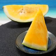 1116.鳥取県産 金色羅皇スイカ 1玉 7-9キロ前後（こちらの返礼品は、大栄西瓜ではありません） 313726_CK002