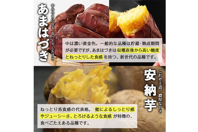 ＜先行予約受付中！2026年10月から順次発送予定＞冷凍 焼き芋 食べ比べ セット(あまはづき・安納芋・500g×各2袋)冷凍 焼芋 焼き芋 やきいも さつまいも さつま芋 レンジ小分け おやつ 宮崎県 門川町【YO-23】【株式会社 陽】
