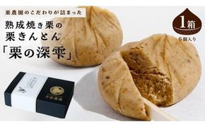 栗きんとん 「 栗の深雫 」 1箱 ～くりのしずく～ 6個 完熟 栗 くり クリ 和菓子 おかし お菓子 贈り物 ギフト 果物 フルーツ 秋 冬 [CX021ci]