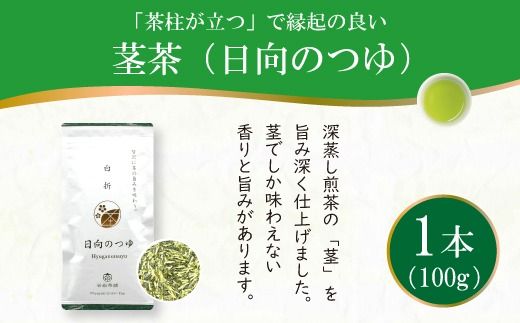 茶 煎茶 白折 100g×1袋 [谷岩茶舗 宮崎県 日向市 452061007] お茶 緑茶 茶葉 深蒸し 茎茶 アミノ酸 簡易包装 緑茶