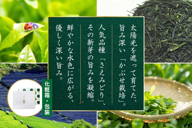 お茶 緑茶 深蒸し煎茶 深緑 80g×2本 [谷岩茶舗 宮崎県 日向市 452061731] セット 小分け 茶葉 プラチナ賞