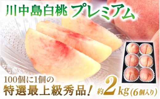 ya̎RI쒬zy2026Ns\zʌIyz쒆 2kg 6  1001̓Iŏ㋉GiI _ƌIIy2026N78z/ a̎R 炬    ґ I