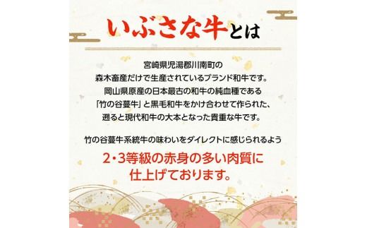 【6ヶ月定期便】いぶさな牛の焼肉セット400g 【 宮崎県産 牛 焼肉 黒毛和牛 定期便 】[D05306t6]