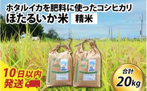 【訳あり】ほたるいか米（精米20kg）【通年発送】