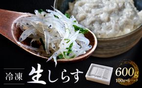 冷凍生しらす600g（100g×6）静岡県御前崎産  生しらす丼 6杯分 小分け 個包装 便利 大容量 徳用 海鮮丼  使いやすい食べきりサイズ どんぶり 刺身 おつまみ おかず 惣菜 晩ごはん 222232_BC010