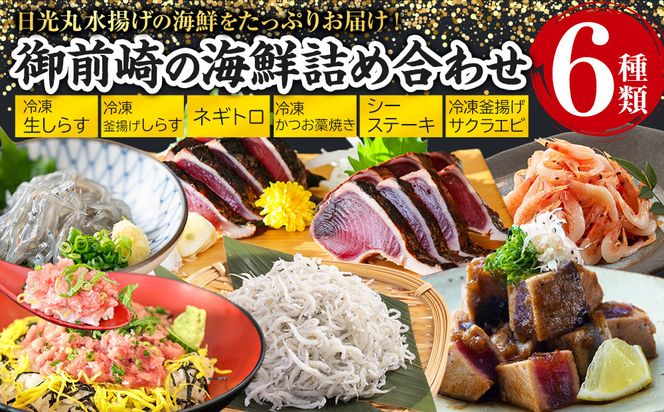 日光丸水揚げの海鮮をたっぷりお届け！御前崎の海鮮詰め合わせセット（1～2人前）海鮮 詰め合わせ セット 冷凍 時短 おつまみ おかず ごはん 加工品 222232_BC037
