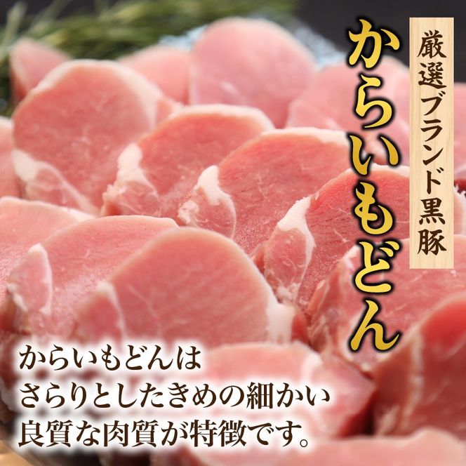 【厳選ブランド黒豚】”黒豚からいもどん”ヒレ　500ｇ（国産 豚肉 小分け 黒豚 ヒレ ステーキ とんかつ ヒレカツ 希少部位 宮崎 小林市 人気 冷凍）