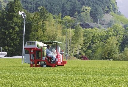 【2-183】産地直送　関西品評会　農林水産大臣賞　記念銘茶　3本入