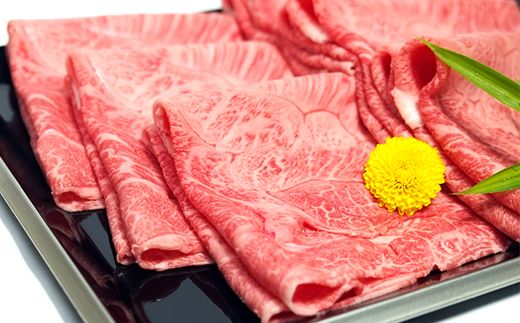 【げんさん】近江牛A5ランク希少部位みすじ　すき焼・しゃぶしゃぶ用【800g】【DG01W】