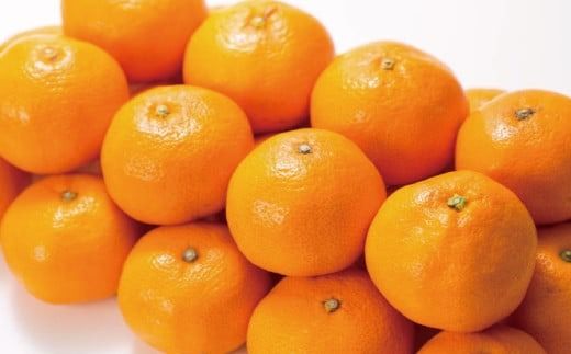 ブランド有田みかん【S】秀品10kg ／産地直送／薄皮で甘い美味しい和歌山県産／紀伊国屋文左衛門本舗　※2025年11月上旬～2026年1月中旬頃 順次発送（お届け日指定不可）【kztb143C】