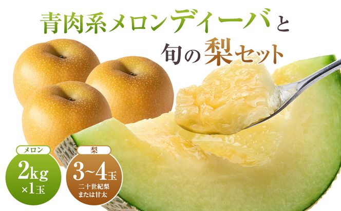 【先行予約】924.【ふるさと納税】【青肉系メロン】ディーバ（メロン）と旬の梨セット※離島への配送不可（北海道、沖縄本島は配送可能） 313726_BQ002