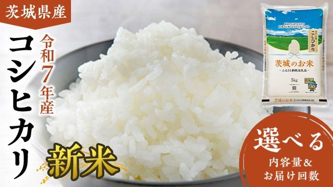 【 令和7年産 】 茨城県産 コシヒカリ ( 選べる 内容量 ＆ お届け回数 ) 5kg 10kg 15kg 20kg 定期便3ヵ月 定期便6ヵ月 米 お米 コメ 白米 こしひかり 茨城県 精米 新生活 応援 新米