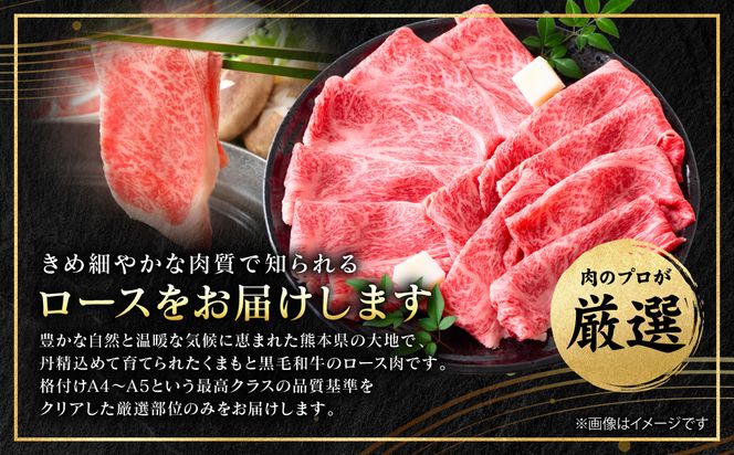 【A4～A5ランク】 【厳選部位】 くまもと黒毛和牛 ロース しゃぶしゃぶ すき焼き用 250g （250g×1パック） 和牛 牛肉 お肉 黒毛和牛 鍋 冷凍 おかず 熊本県 八代市