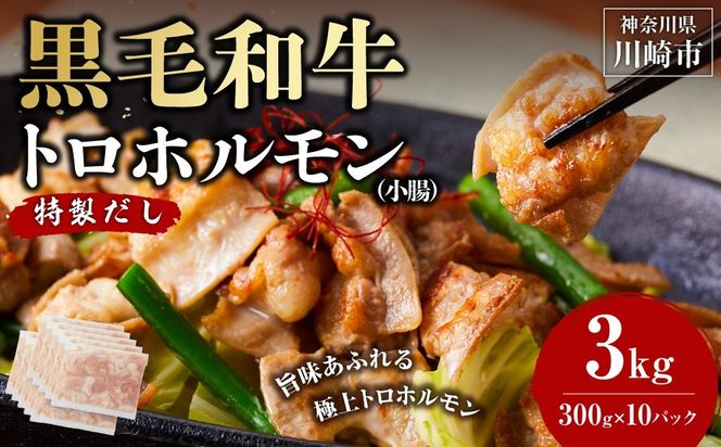 黒毛和牛トロホルモン（小腸）　特製だし3kg ( 300g × 10パック )【配送月が選べる】