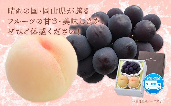【2026年発送先行予約】桃・ピオーネ詰め合わせ 約1kg クール便 冷蔵便 桃 もも 葡萄 ブドウ ぶどう ピオーネ フルーツ セット 晴れの国おかやま館 《2026年8月下旬-9月中旬頃出荷》 フルーツ 果物 果実 岡山県 矢掛町---ofn_chokmp_h8_25_16500_10---