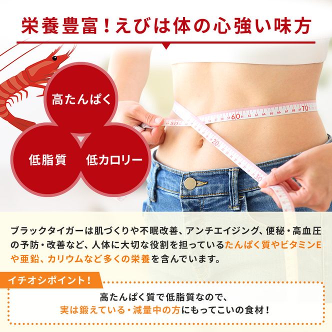 海老 訳あり 高級 むきえび 1kg (解凍後約900g) 背わたなし 冷凍 加工食品 魚介類