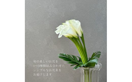 【月1回（全12回）】《数量限定・花瓶付き》～スタンダードstyle～季節の花束定期便（全12回）月1回お届け【 花 お花 神奈川県 小田原市 】 142069_BN052