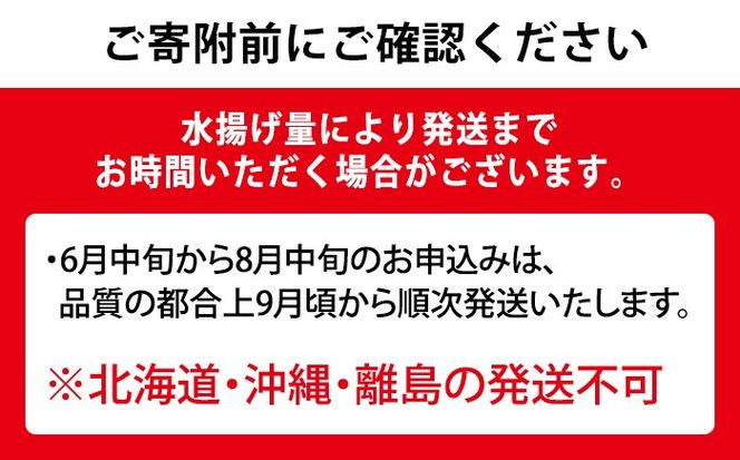 【0223204a】鮮度が命！鮮魚問屋が厳選した『鮮魚たちうおビッグサイズBOX』(1尾・1kg以上)魚 魚介類 鮮魚 海鮮 太刀魚 ムニエル 塩焼き【江川商店】