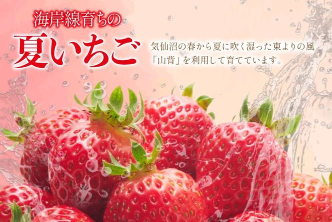訳あり 冷凍 夏いちご すずあかね 約1kg [水山養殖場 宮城県 気仙沼市 20564004] 果物 イチゴ いちご 苺 簡易包装 フルーツ