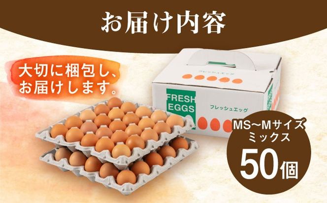 【年内発送】【50個】黄身にコク！白身に甘み！てつやとのりこの玉子 板垣ファーム [AWD002]