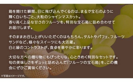 《 選べる 内容量 》【 お歳暮 熨斗付き 】 白いちご と シャインマスカット の宝石箱18粒 / 36粒 (茨城県共通返礼品：大子町) いちご マスカット 果物 フルーツ 旬 季節限定 期間限定 贈答用 ギフト 贈り物