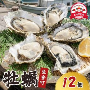 【 テレビで紹介 】 生食可 冷凍 牡蠣 殻付き牡蠣 春っこ 牡蠣 1袋 ( 12個入り )  冷凍 数量限定 かき カキ 殻付き牡蠣 [funamoto003]