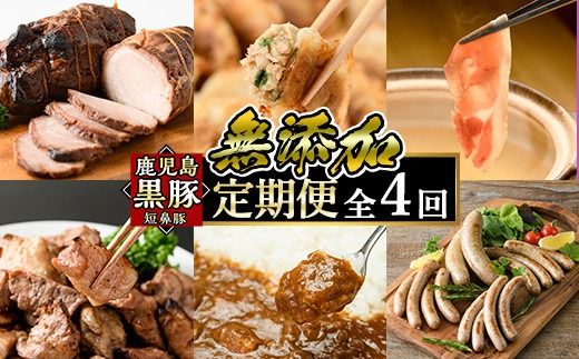 a126 鹿児島黒豚「短鼻豚」定期便(4ヶ月コース)豚肉しゃぶしゃぶ用・炭火焼肉・豚モモ肉、餃子、ハム・ソーセージなど詰め合わせた黒豚肉定期便【鹿児島ますや】
