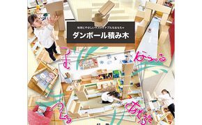 ダンボール積み木　50個セット 玩具 おもちゃ 