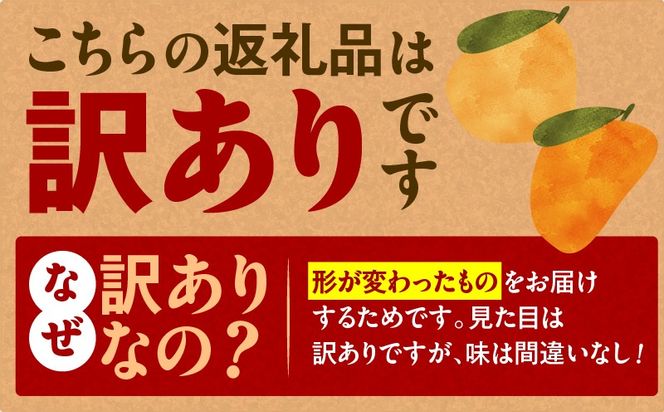 ＜容量選べる＞旬の朝採り！ 鹿児島 桜島産びわ 1箱（訳あり品）　K343-002_SKU