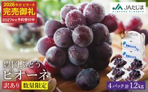 【2027年先行予約】数量限定 訳あり 豊岡ぶどう「ピオーネ」 約300g×4パック ／ ぴおーね ブドウ 葡萄 訳ありぶどう 大粒 強い甘み 爽やかな酸味 新鮮 果物 産地直送 くだもの フルーツ 上品 香り