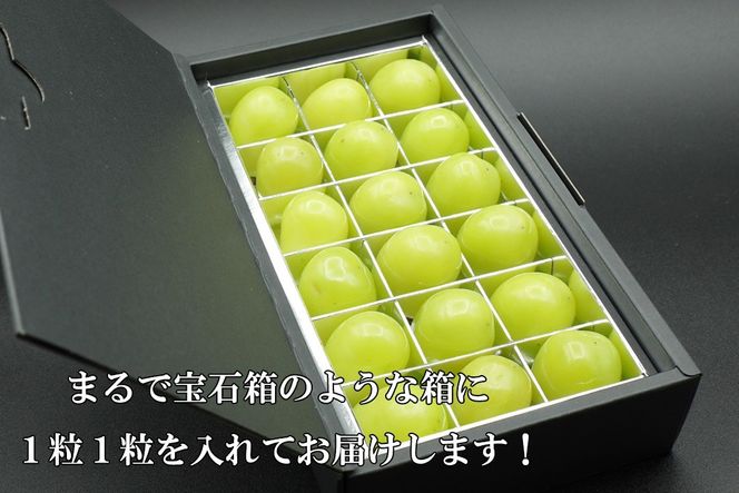 【令和８年度先行予約】《厳選・宝石箱》シャインマスカットひと口BOX(18粒入り・約200g)　シャイン マスカット ぶどう 葡萄 ブドウ 房なし 粒シャイン 粒のみ 粒だけ くだもの 果物 フルーツ 山梨 やまなし 富士川町