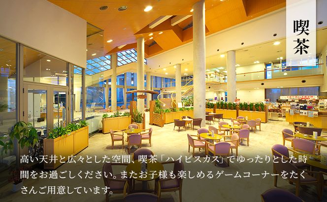 施設利用券 関東 千葉 国民宿舎 サンライズ九十九里 10000円分 宿泊券 お食事券 宿泊 旅行 旅行券 利用券 食事券 宿泊補助券 トラベル クーポン ホテル券 ギフト券 ギフト チケット ホテル 旅館 千葉県 九十九里町 九十九里