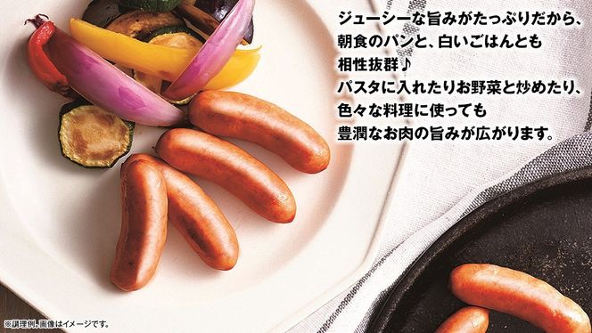 日本ハム 豊潤 12束セット ( 80g × 2袋 ) あらびき ポーク ウインナー 日ハム ソーセージ 肉 お肉 豚肉 にく 小分け [AA062ci]