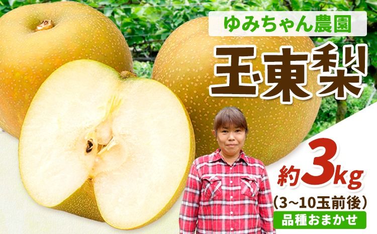 『ゆみちゃん農園』の玉東梨 約3kg 3玉-10玉前後 [2026年8月下旬-10月上旬頃出荷]熊本県玉名郡玉東町 梨 なし 果物 フルーツ 旬の梨---sg_cyuminashi_l810_r8_12500_3kg---