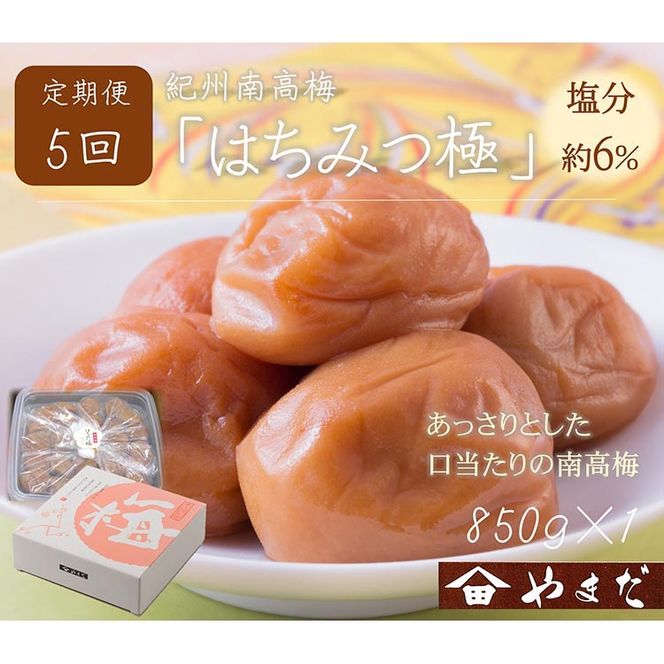 【定期便/2か月ごと/全5回】紀州南高梅はちみつ極塩分約6％（850g）