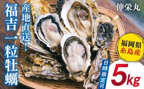【加熱用】一粒牡蠣 カキ 5kg (牡蠣ナイフ付き) 糸島産 福吉 糸島市 / 伸栄丸 カキの佐々木 牡蠣 生カキ 生食用 殻付き カキ 生牡蛎[ATH003]
