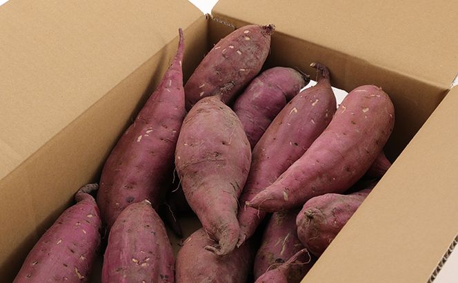 訳あり 絶品 紅はるか 3kg サイズ混合 国産 さつまいも サツマイモ さつま芋 いも 芋 野菜 根菜 べにはるか 旬の野菜 季節の野菜 焼きいも ふかし芋 ほし芋 家庭用 訳アリ imo.dot