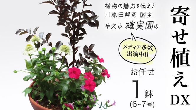 y錧vszy m IWi z 񂹐A DX i܂1_j K[fjO  ͂ t[  A [BG010us]
