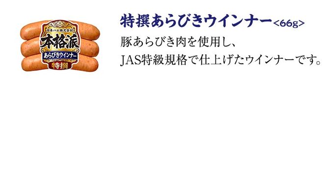 【 お歳暮 熨斗付 】 日本ハム 筑西工場 ギフトセットC 肉 にく 贈答 ギフト 詰め合わせ ハム ソーセージ ウィンナー 生ハム 焼豚 [AA083ci]