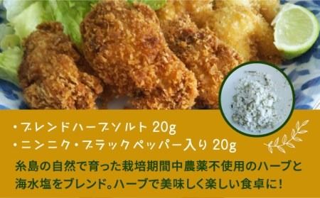 糸島で育てたオリジナルハーブソルト＆ハーブティー 4点セット 糸島市 / 糸島ハーブ・薬香農園 コア・ファーム しお ハーブ 調味料 お茶 [AJC005] 国産 塩 ハーブ 調味料 お茶 ソルト ハーブティー ハーブソルト