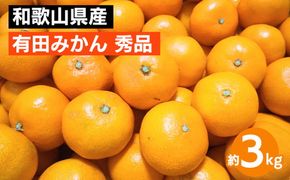 【先行予約】 有田みかん 秀品 約3kg サイズ混合　和歌山県産