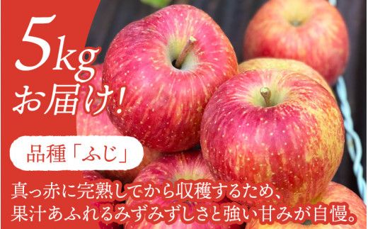【先行予約】りんご 5kg【2026年12月以降順次発送予定】エコファーマー認定 | 林檎 リンゴ 果物 フルーツ 甘い ふじ 蜜入り 5kg 5キロ