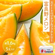【2026年夏発送】北海道 富良野メロン 5玉 計約8kg メロン フルーツ 果物