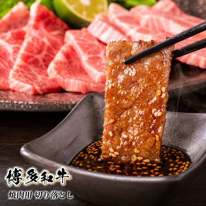 訳あり 牛肉 切り落とし A4～A5 焼肉 博多和牛 500g 訳アリ 配送不可：離島