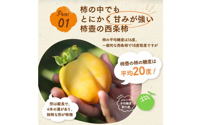 【柿専業の農家が作る】謹撰大玉西条柿の干し柿 440g【11月下旬以降お届け】 322032_BK010