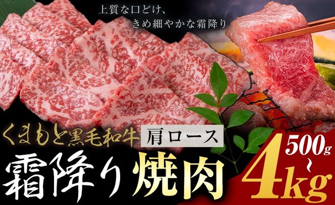 黒毛和牛 霜降り 肩ロース 焼肉  500g 1kg 2kg 4kg《30営業日以内に出荷予定(土日祝除く)》熊本県 氷川町 牛 牛肉 和牛 ブランド牛---hkw_26_lcl_418_500g---