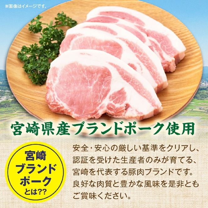 【宮崎県産ブランドポーク】濃厚ニンニク味噌漬けトンテキ 500g
